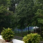 a tennis court surrounded by trees and bushes